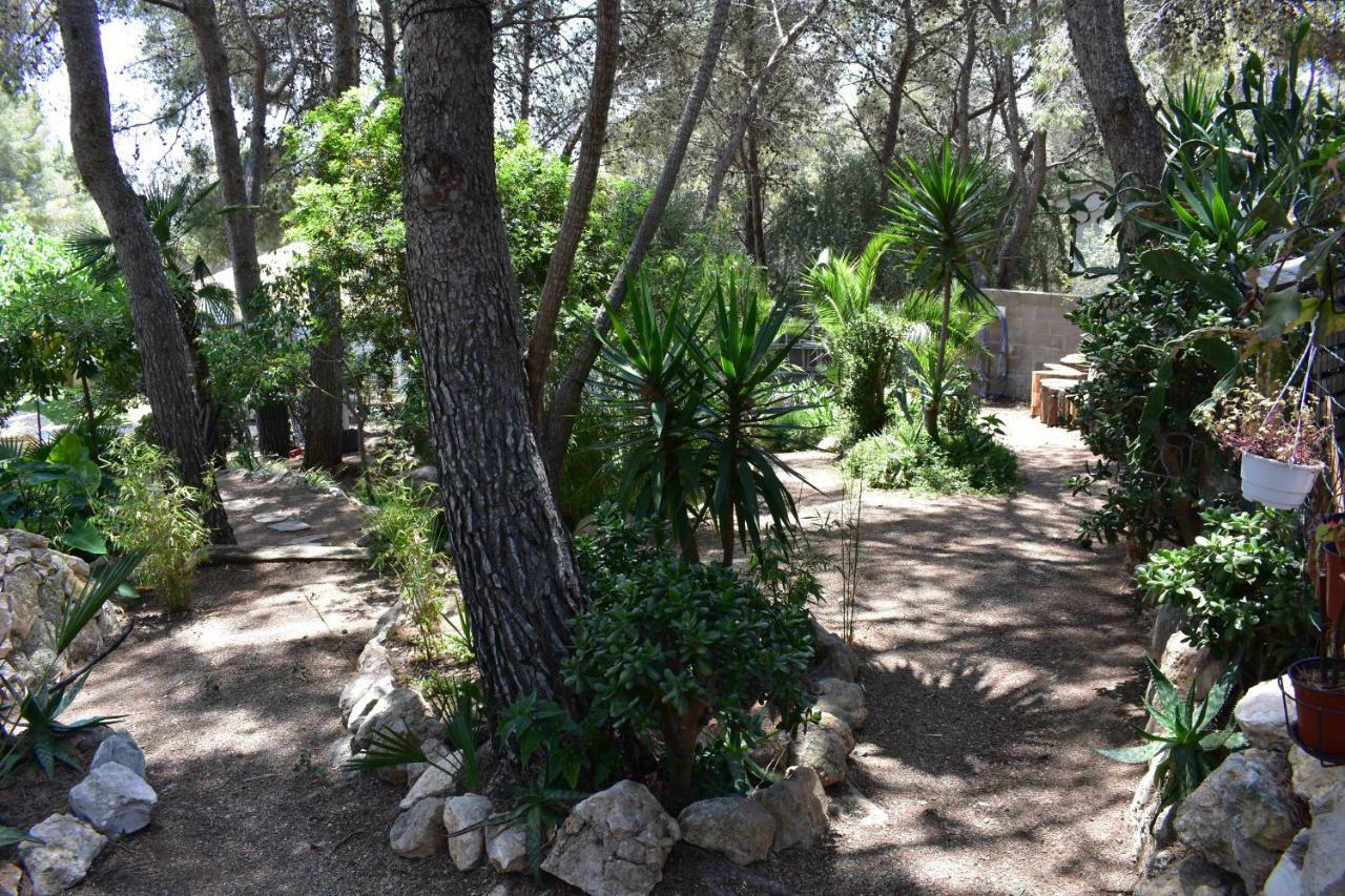 Villa Garden ตาร์ราโกนา ภายนอก รูปภาพ